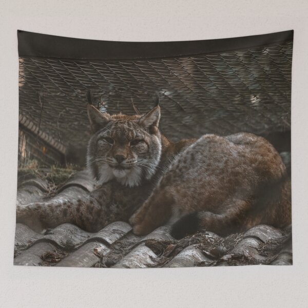 Item preview, Lying, sleeping lynx designed and sold by SophieHueper.