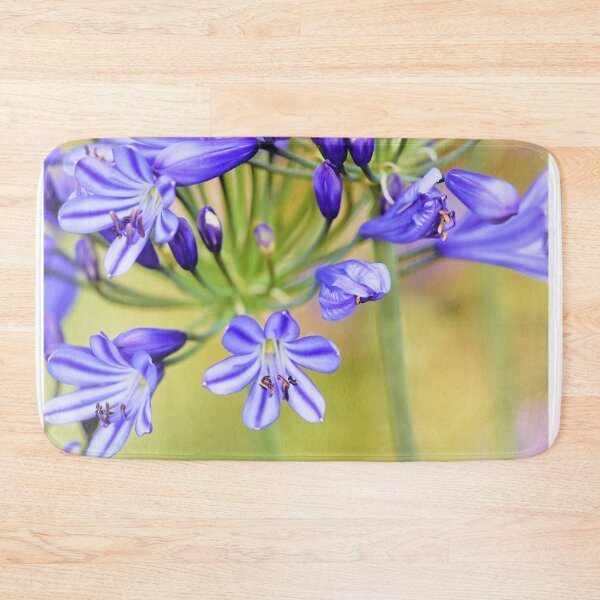 Item preview, Agapanthus africanus - Lily of the Nile designed and sold by imaginethis.