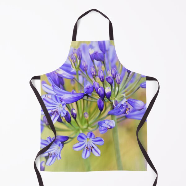 Item preview, Agapanthus africanus - Lily of the Nile designed and sold by imaginethis.