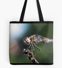 Sympetrum striolatum II Tote Bag