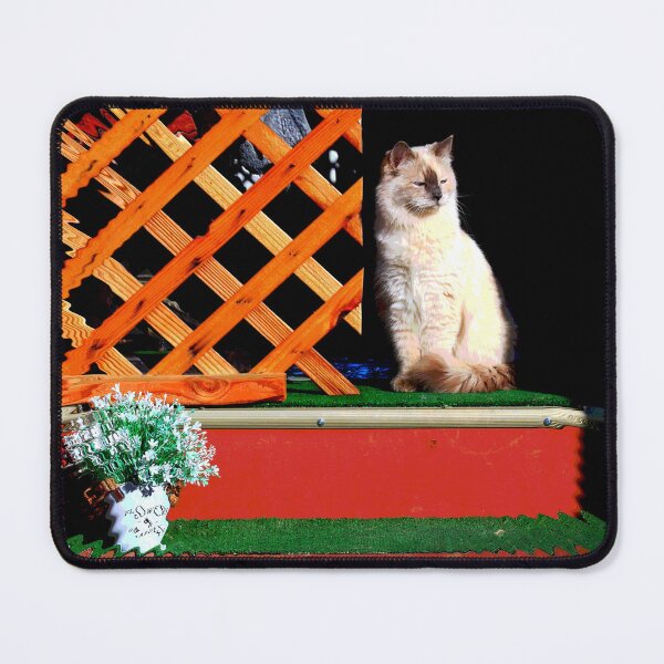 Item preview, White Cat on Red Steps designed and sold by Tony Mumolo.