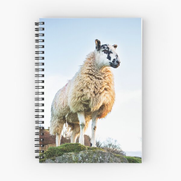 Item preview, Mule designed and sold by JwoodPhotos.