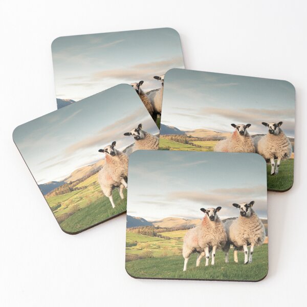 Item preview, Mules  designed and sold by JwoodPhotos.