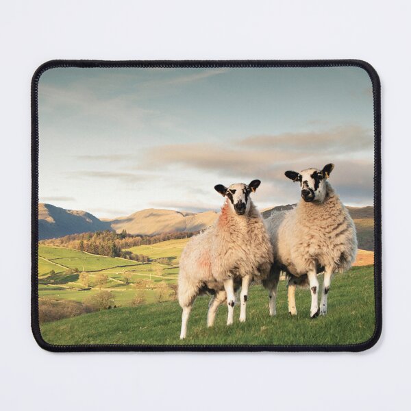Item preview, Mules  designed and sold by JwoodPhotos.