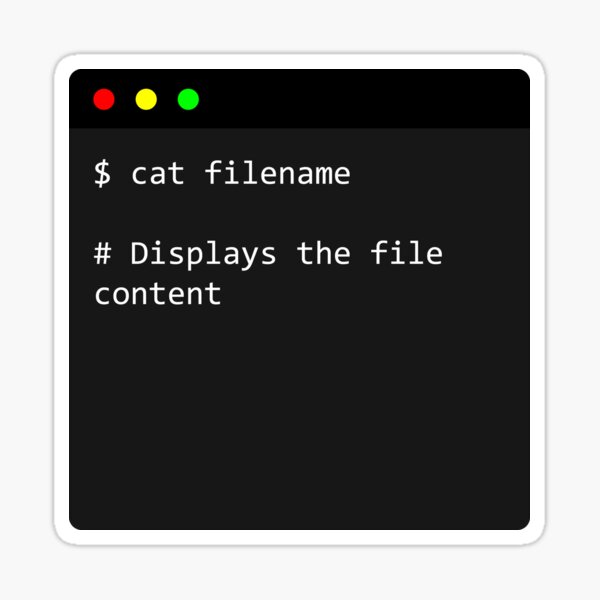 "linux command cat filename what does cat filename do in terminal