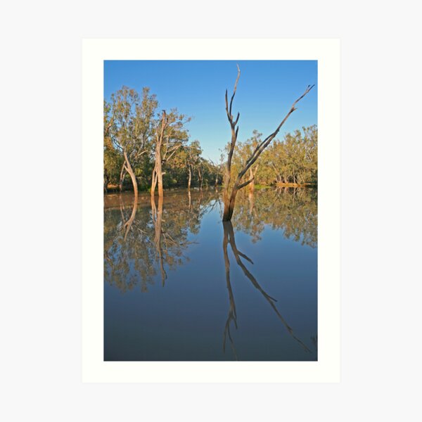 Creek at Nindigully, Qld Art Print