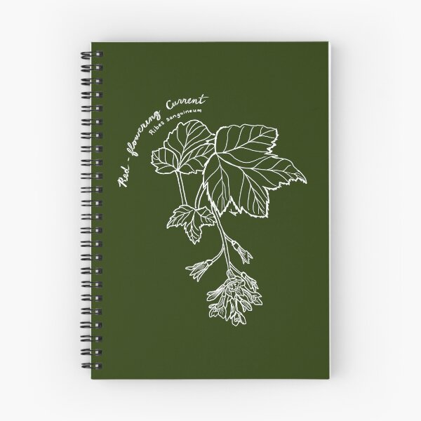 Item preview, Red-flowering Currant line art designed and sold by Fernheart Designs.
