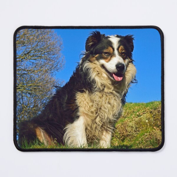 Item preview, It's a Dogs Life. designed and sold by Michael Haslam.