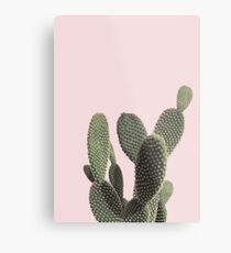 Prickly Cactus Metal Print