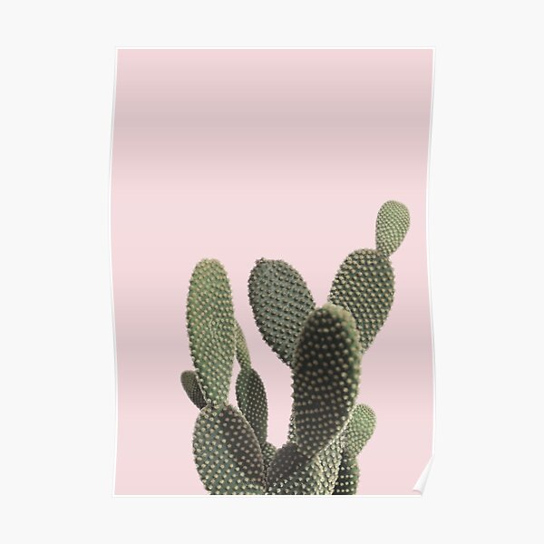 Prickly Cactus Poster