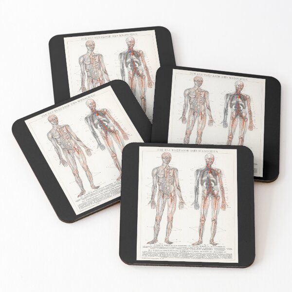 Item preview, Human Anatomy The Human Cardiovascular System from Die Blutgefasse Des Menschen (1898) designed and sold by fizzypoptees.