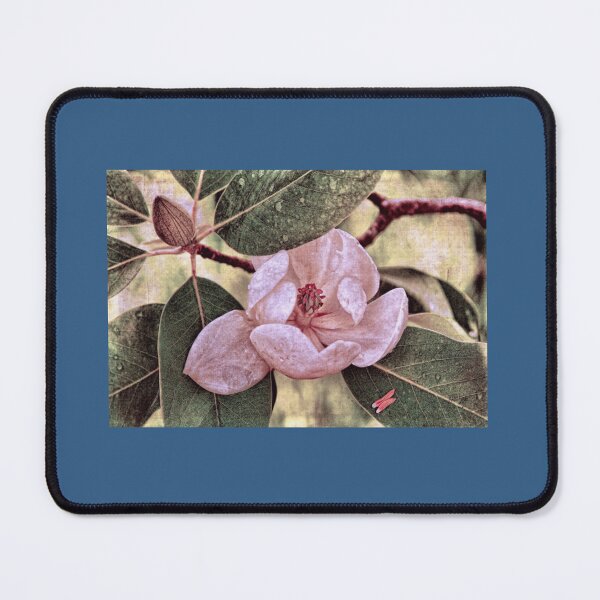 Item preview, Sweet Bay Magnolia After The Rain   designed and sold by mindifox3.