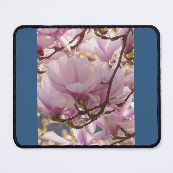Item preview, Copy of DanaSweet magnolia  Premium  designed and sold by mindifox3.