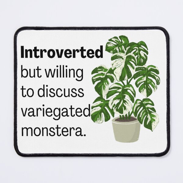 Item preview, Introverted but willing to discuss variegated monstera. designed and sold by jackiedees.