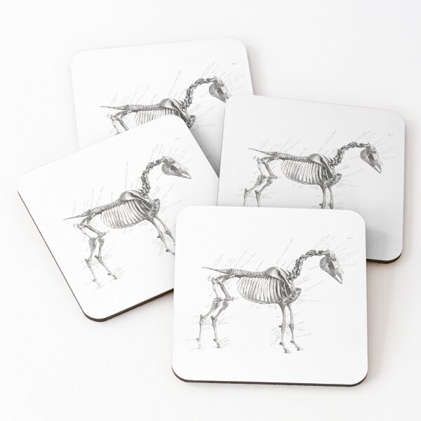 Item preview, Horse Skeleton The Anatomy of the Horse (1853) Antique Print by George Stubbs designed and sold by fizzypoptees.