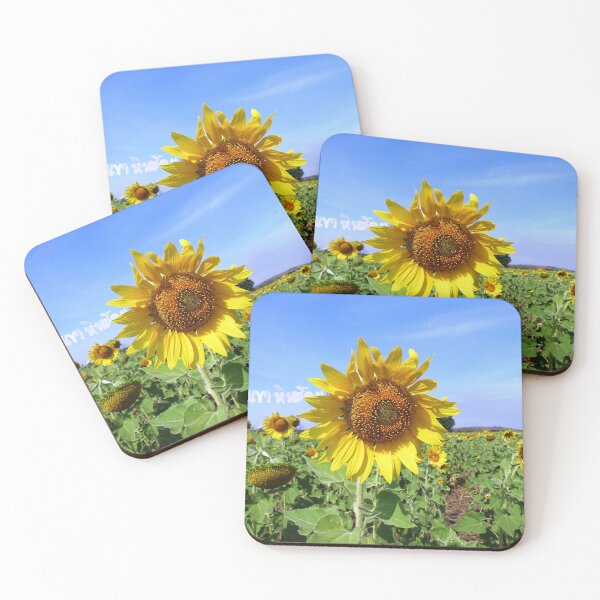 Item preview, Sunflower, Saraburi, Thailand designed and sold by morrisophotography.