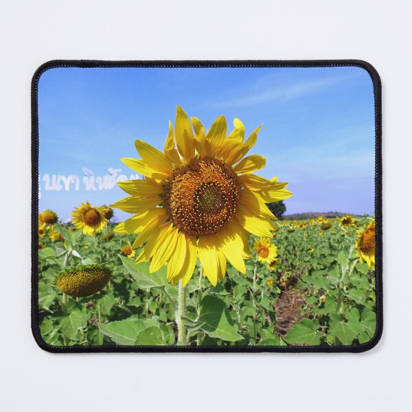 Item preview, Sunflower, Saraburi, Thailand designed and sold by morrisophotography.