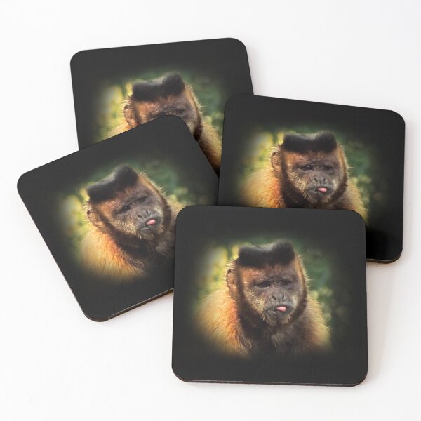 Item preview, Tufted capuchin designed and sold by Guardi71.