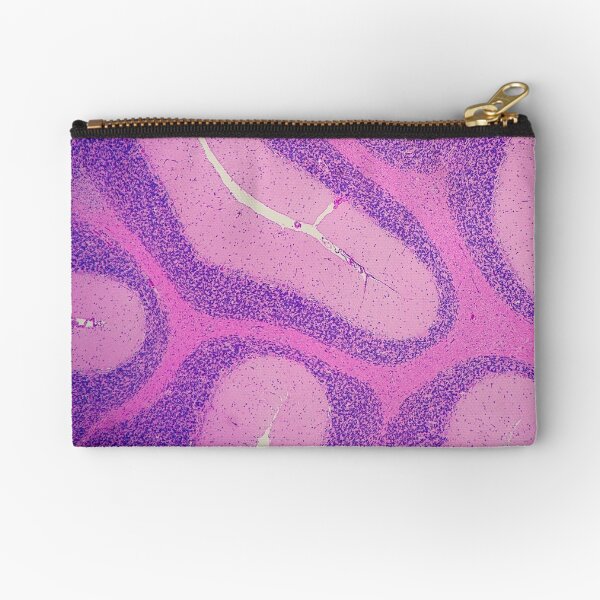 Serpentine Sinuous Cerebellum Zipper Pouch