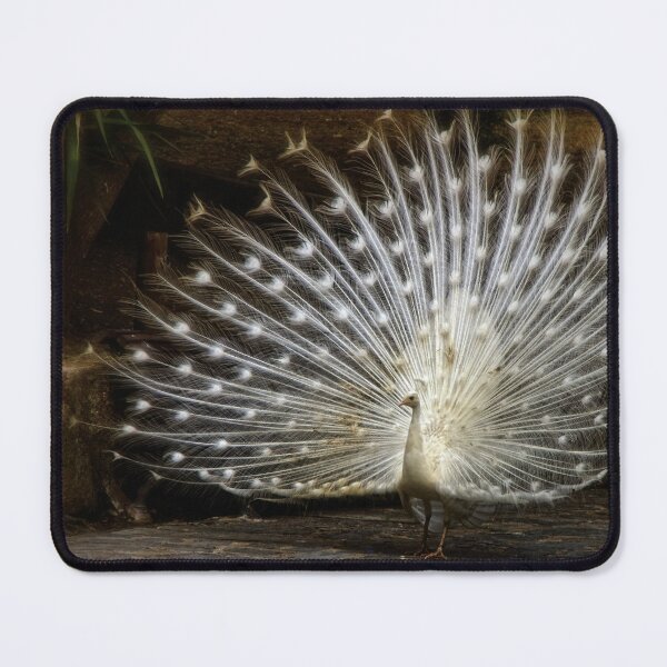 Item preview, Beautiful Peacock In Full Bloom from Fonebook  designed and sold by Fonebook.
