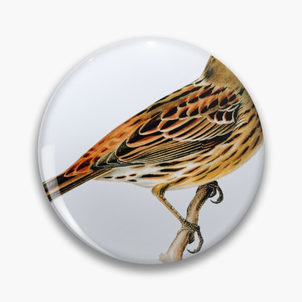 Item preview, Little bird designed and sold by PEJ0art.