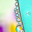 Untitled by Mandy Brown