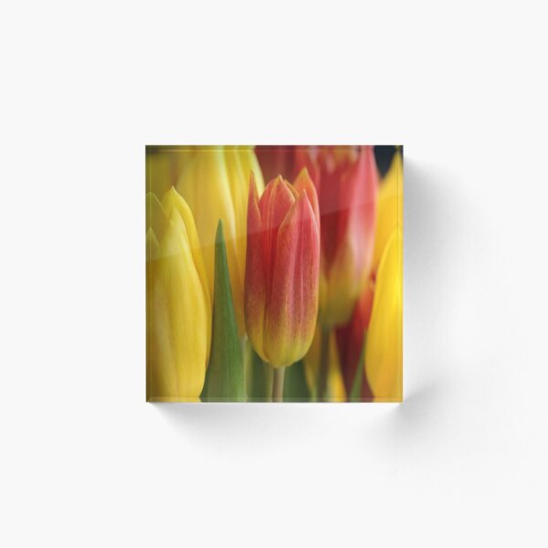 Item preview, Enjoy relaxing with the beautiful yellow & red flowers. designed and sold by Relaxation  Time.