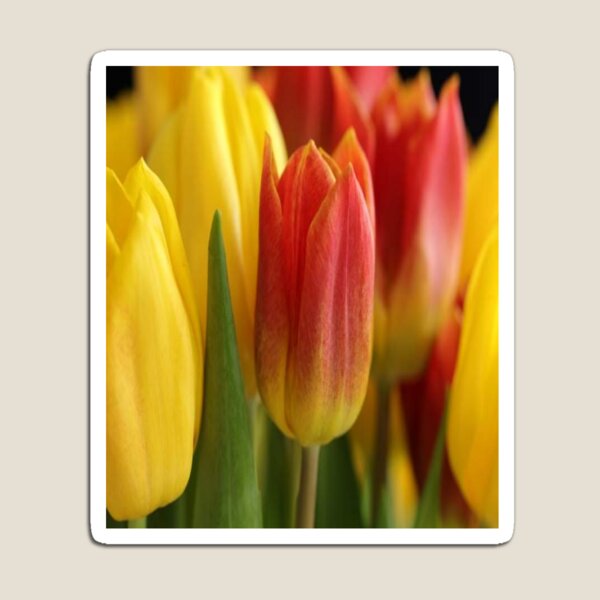 Item preview, Enjoy relaxing with the beautiful yellow & red flowers. designed and sold by Relaxation  Time.