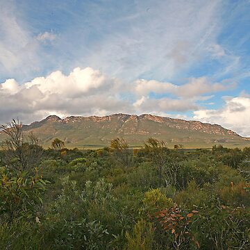 Artwork thumbnail, Mt Ragged, WA by Richard  Windeyer