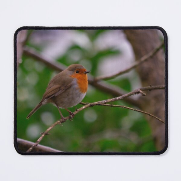 Item preview, Robin in a Spring mood. designed and sold by GingerMan2550.