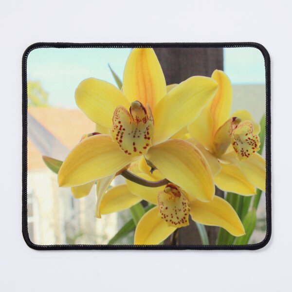 Item preview, Mellow Yellow designed and sold by Michael May.