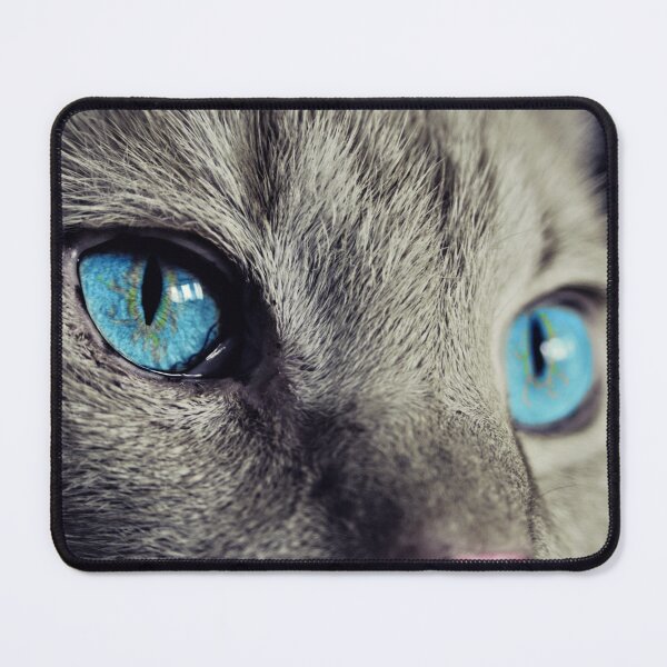 Item preview, Beautiful Blue Eyes - Cat Photography designed and sold by TheEndlessStore.
