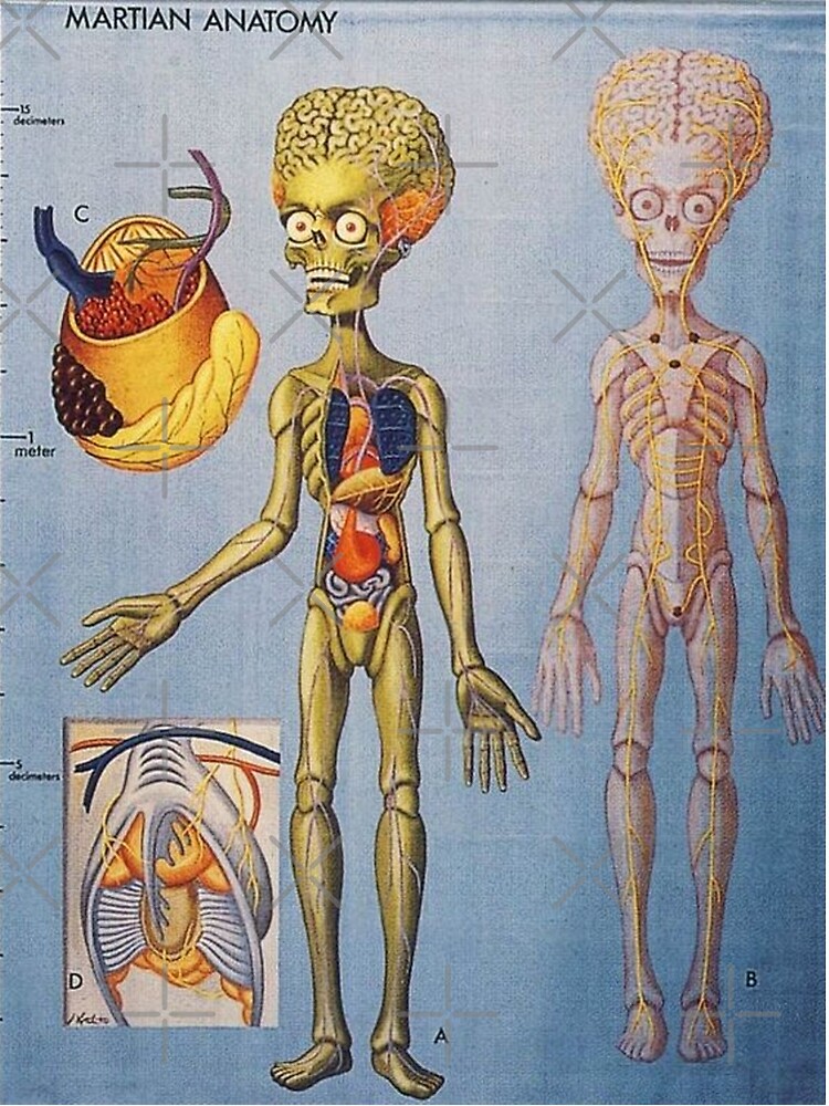 "Mars Attacks! Ack! Vintage green alien martian anatomy" Poster for