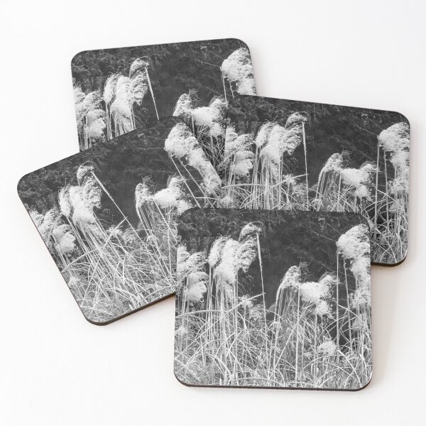 Item preview, Pampas Grass designed and sold by Shulie1.