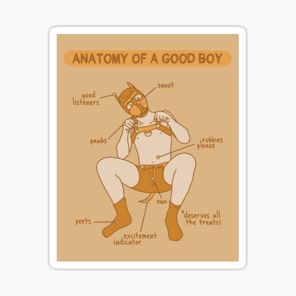 Item preview, Anatomy of a Good Boy Orange designed and sold by Hellmutts.