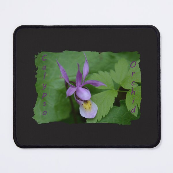 Item preview, Calypso Orchid designed and sold by Whisperingpeaks.