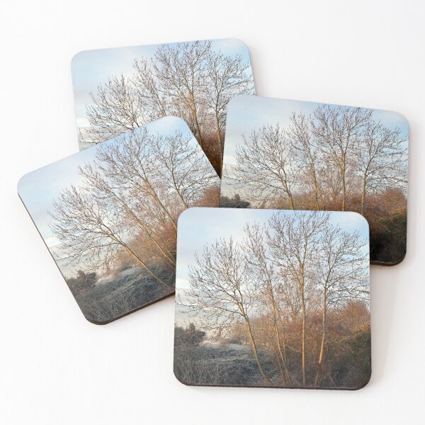 Item preview, Golden light on the trees designed and sold by paulboizot.