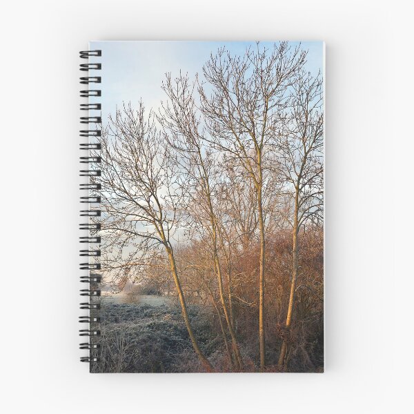 Item preview, Golden light on the trees designed and sold by paulboizot.