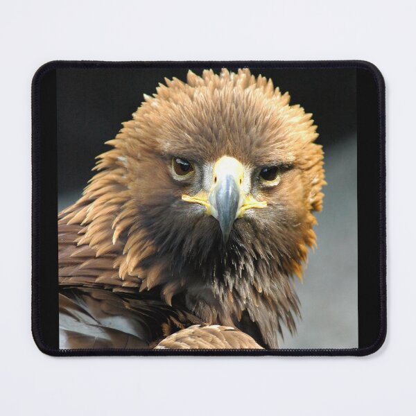Item preview, Golden Eagle designed and sold by senninha.