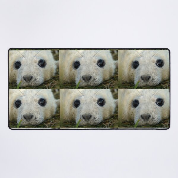 Item preview, Newly Born Seal Pup designed and sold by senninha.