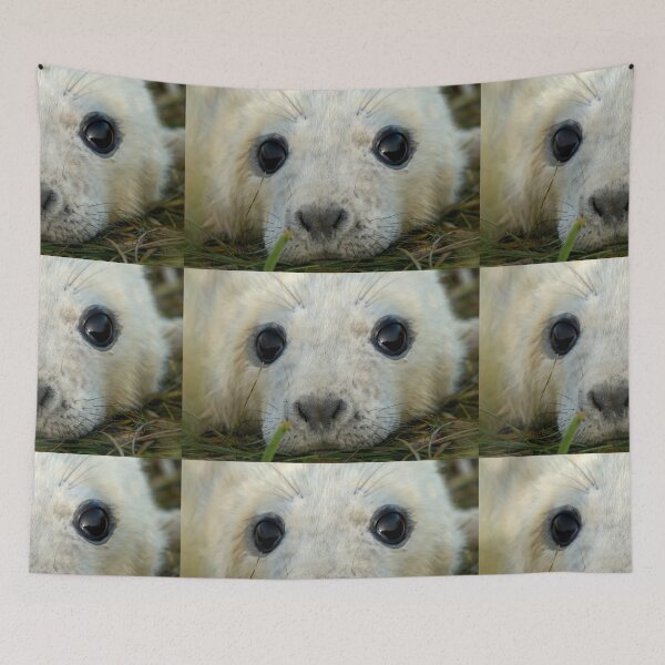 Item preview, Newly Born Seal Pup designed and sold by senninha.