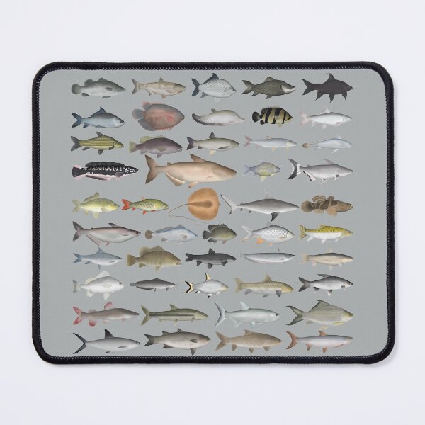 Item preview, Southeast Asia Freshwater Fish Group designed and sold by fishfolkart.