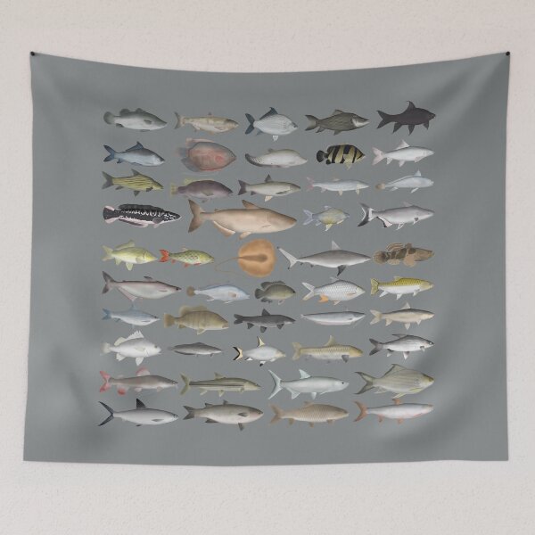 Item preview, Southeast Asia Freshwater Fish Group designed and sold by fishfolkart.