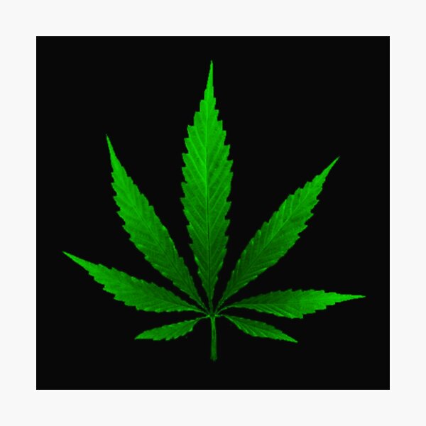 Item preview, Hemp leaf green designed and sold by  CannaGranny™ .