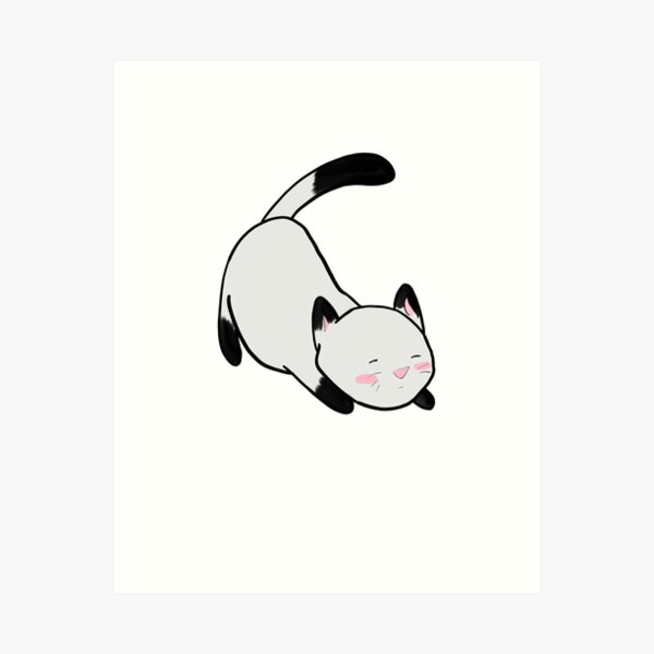 Cute Cats Black Kitten Anime Women's Print Fitness Stretch