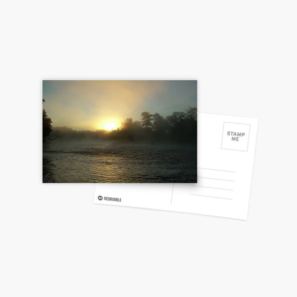 Foggy Sunrise 702 Postcard