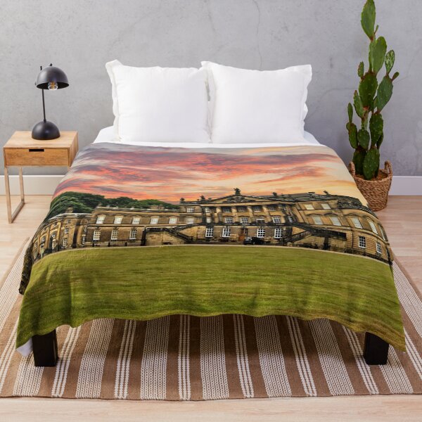 Item preview, Wentworth Woodhouse designed and sold by galpinimages.
