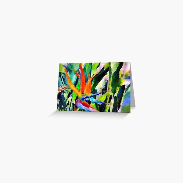 Bird of Paradise (Strelitzia) Watercolor Greeting Card