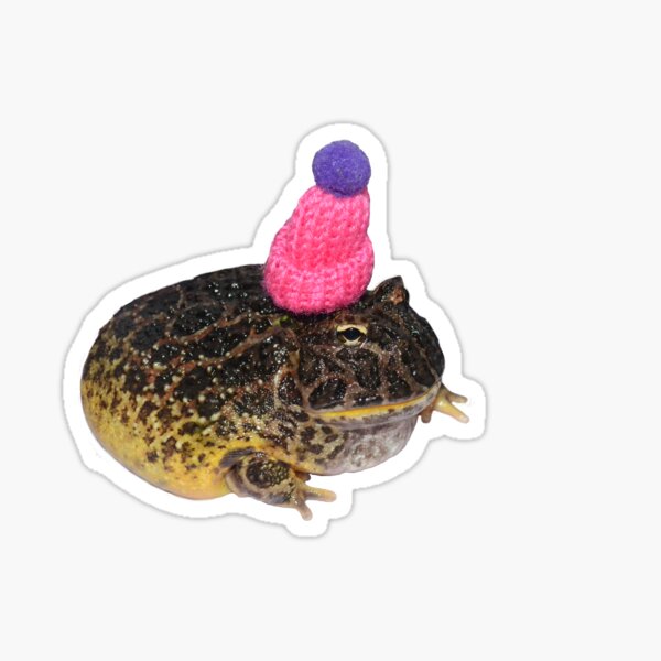 Item preview, Pink hat frog designed and sold by LimetheFrog.
