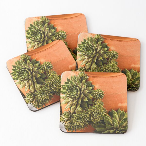 Item preview, Succulent and Terracotta designed and sold by ChelleCreate.